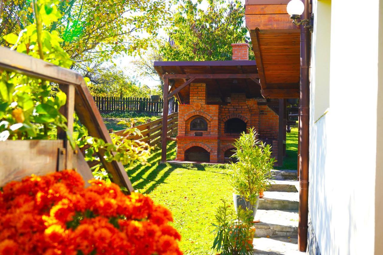 Vila Sohodol Travel Bran  Ngoại thất bức ảnh