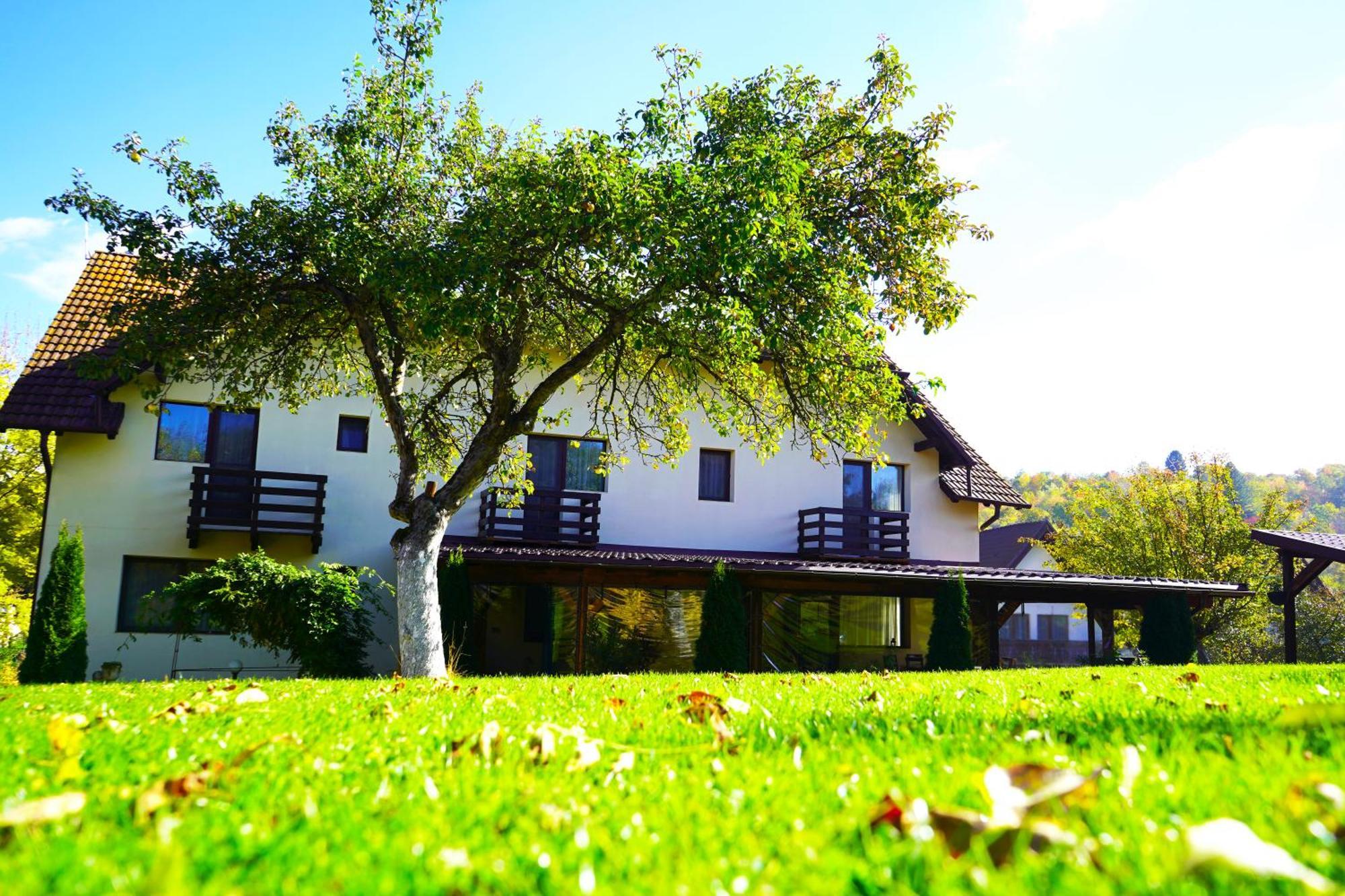 Vila Sohodol Travel Bran  Ngoại thất bức ảnh